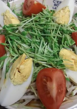 もやしと豆苗のチン蒸し&トマトとゆで卵添-レシピのメイン写真