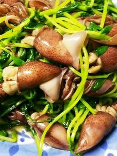 豆苗とホタルイカの醤油炒め-レシピのメイン写真