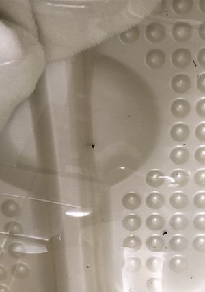 農薬除去　酢、塩、重曹のどれか１つ-レシピのメイン写真