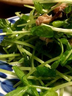 簡単★安い☆豆苗のサラダ-レシピのメイン写真