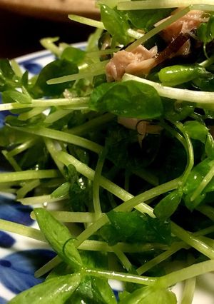 簡単★安い☆豆苗のサラダ-レシピのメイン写真