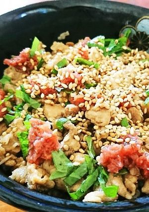 超簡単！さっぱり豚どん-レシピのメイン写真