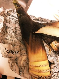 【超簡単】筍の水煮 圧力鍋で下処理の仕方-レシピのメイン写真