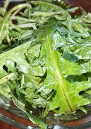 タンポポと水菜の春のサラダ-レシピのメイン写真