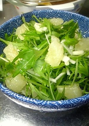 水菜とフル-ツのサラダ☆-レシピのメイン写真