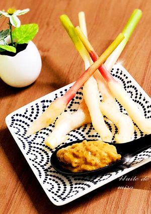 谷中生姜のごま味噌ディップ-レシピのメイン写真