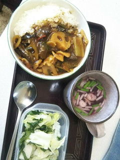 我家カレーセット(血管ダイエット1230-レシピのメイン写真