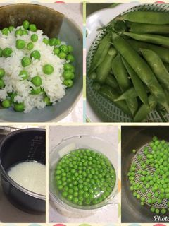 えんどう豆ごはん-レシピのメイン写真