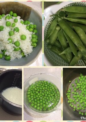 えんどう豆ごはん-レシピのメイン写真