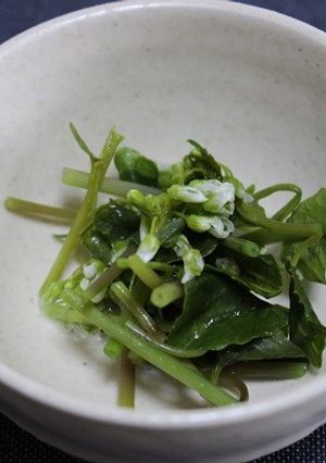 わさびの花蒸し-レシピのメイン写真
