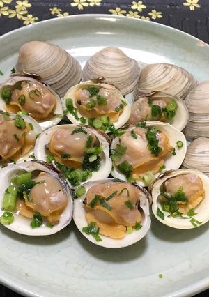 超簡単！激ウマ！ホンビノス貝の蒸し焼き-レシピのメイン写真