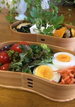 豆苗ひじきのナムルワッパのお弁当-レシピのメイン写真