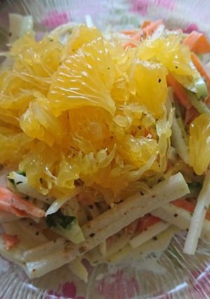 甘夏on野菜サラダ-レシピのメイン写真