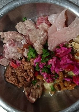 犬ごはん生食、発酵野菜に挑戦!-レシピのメイン写真
