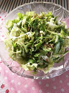 水菜のジャコサラダ-レシピのメイン写真