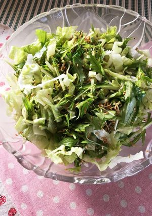 水菜のジャコサラダ-レシピのメイン写真
