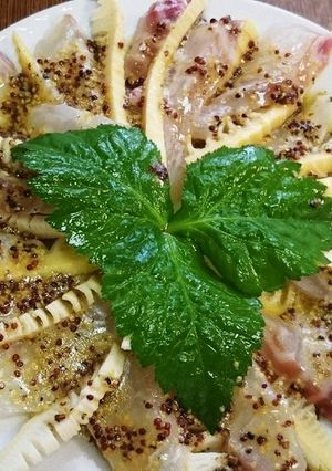 たけのこと鯛のカルパッチョ-レシピのメイン写真