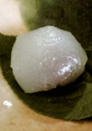 15分で葛饅頭-レシピのメイン写真
