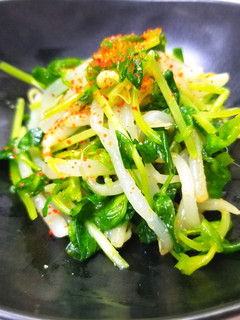 レンジで簡単!豆苗ともやしの白ドレ和え-レシピのメイン写真