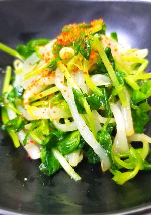 レンジで簡単!豆苗ともやしの白ドレ和え-レシピのメイン写真