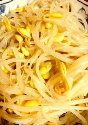 豆もやしのナムル-レシピのメイン写真