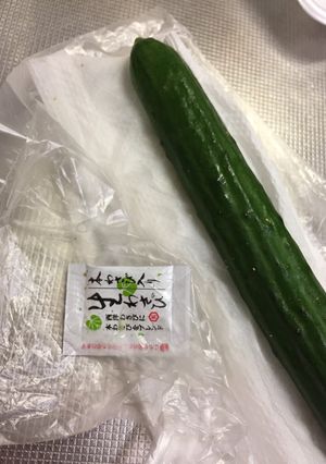 キュウリを長持ち保存させたい-レシピのメイン写真
