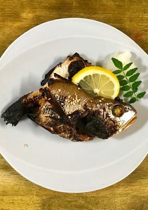 晩春は シログチ（イシモチ）の幽庵焼き-レシピのメイン写真