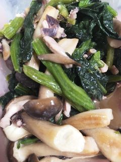 野菜の塩辛バター炒め-レシピのメイン写真