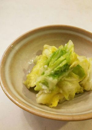 三五八 キャベツの浅漬け-レシピのメイン写真
