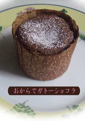 おからDEガトーショコラ風-レシピのメイン写真