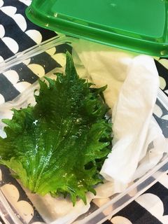 ▼大葉の保存▼-レシピのメイン写真