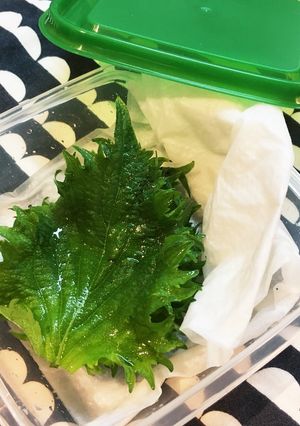 ▼大葉の保存▼-レシピのメイン写真