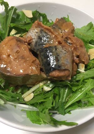 水菜と鯖味噌缶サラダ-レシピのメイン写真
