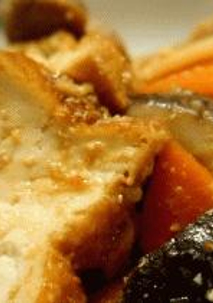 厚揚げと豚肉のうまうま煮-レシピのメイン写真
