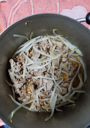 肉もやし醤油風味-レシピのメイン写真