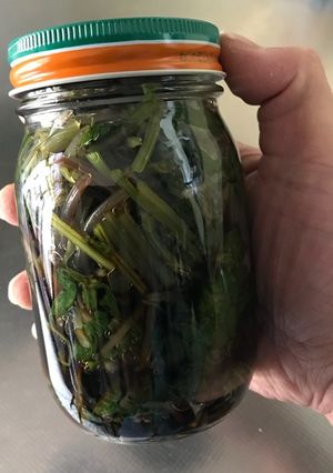 葉わさび・花わさびの醤油漬け-レシピのメイン写真