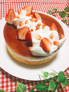 クランベリーソースのムースケーキ-レシピのメイン写真