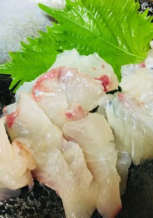 シマアジ 3日寝かせたお刺身-レシピのメイン写真