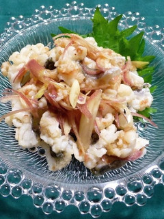 鱧の落としとミョウガの梅風味和え-レシピのメイン写真