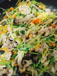 栄養満点! 簡単 豆苗の豚肉炒め-レシピのメイン写真