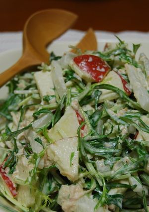 美味しい♪水菜とりんごと大根のツナサラダ-レシピのメイン写真
