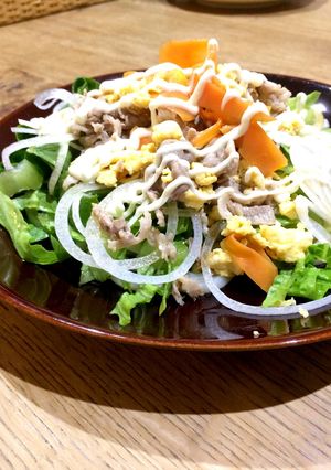 簡単！肉肉サラダうどん-レシピのメイン写真