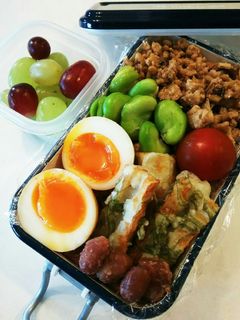 お弁当(5/15)★鶏そぼろと煮玉子-レシピのメイン写真
