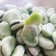 そら豆 基本のゆで方