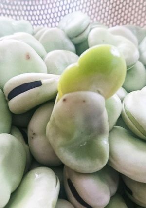 そら豆 基本のゆで方-レシピのメイン写真