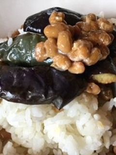 納豆と揚げナスのご飯-レシピのメイン写真