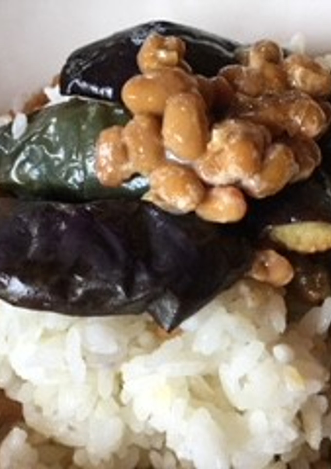 納豆と揚げナスのご飯-レシピのメイン写真