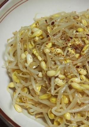 濃厚な香り！やみつき豆もやしのナムル-レシピのメイン写真