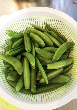 簡単 スナップエンドウ蒸し-レシピのメイン写真