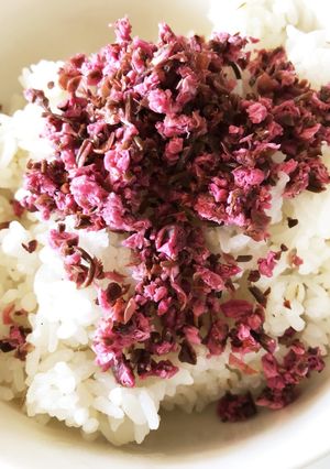 桜ご飯でおにぎりしてピクニック-レシピのメイン写真